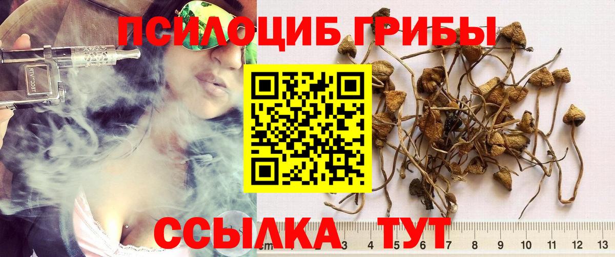 Улан-Удэ  Псилоцибиновые грибы MAGIC MUSHROOMS  Галлюциногенные грибы мицелий  Вход с VPN 